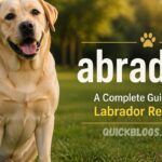 abradore