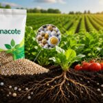 Mannacote